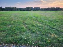 Działka rolno-budowlana Miedzierza. Zdjęcie 2