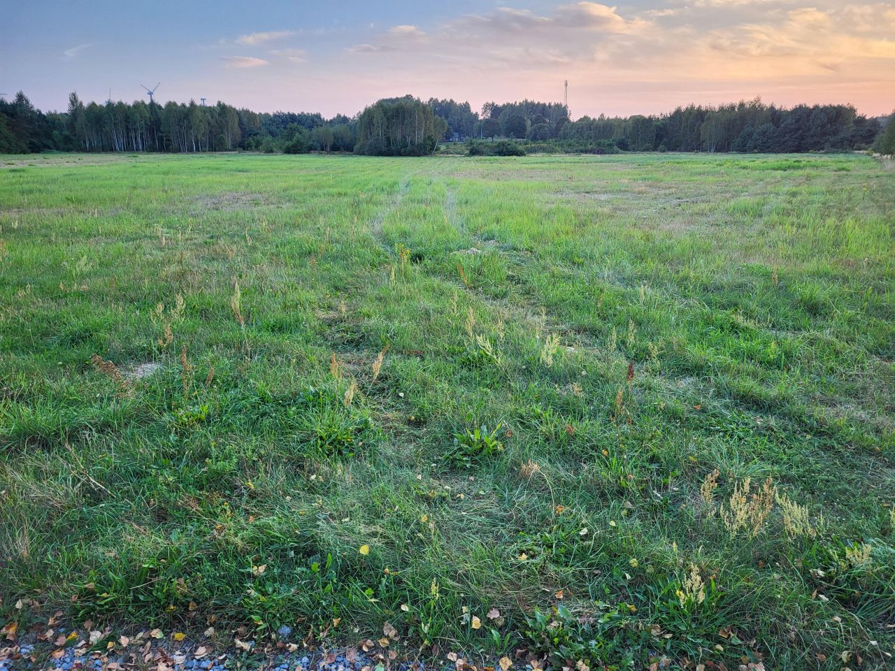 Działka rolno-budowlana Miedzierza. Zdjęcie 3