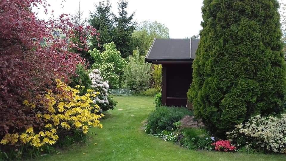 Działka rekreacyjna Wawrów. Zdjęcie 4