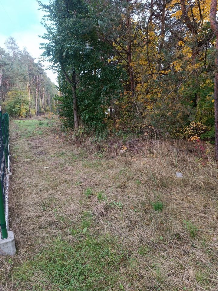 Działka budowlana Tarłów, os. Leśne. Zdjęcie 2