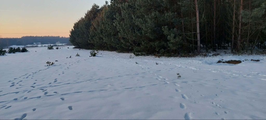 Działka rolna Łokietnica. Zdjęcie 4