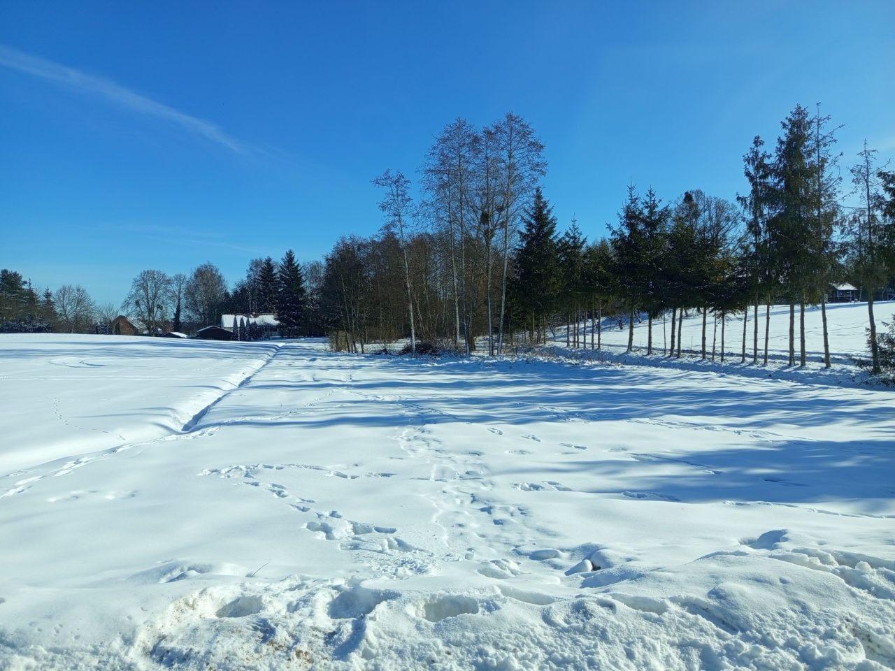 Działka rolno-budowlana Zbiczno. Zdjęcie 5