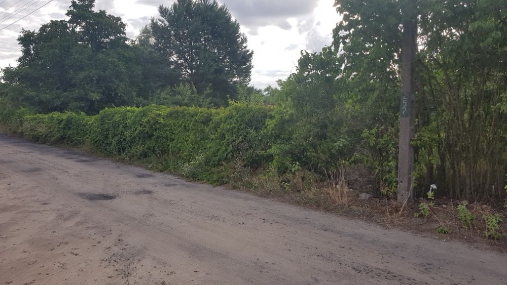 Działka rekreacyjna Golbice. Zdjęcie 1