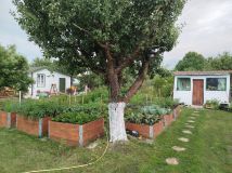 Działka rod Biała Podlaska. Zdjęcie 3