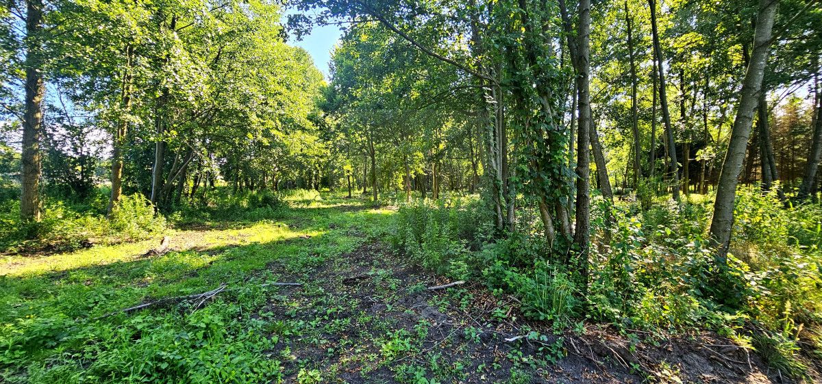 Działka budowlana Mościska. Zdjęcie 11