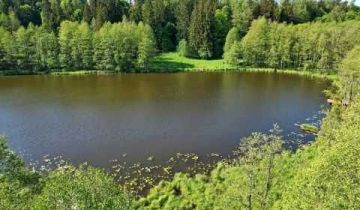 Działka rekreacyjna Dybowo