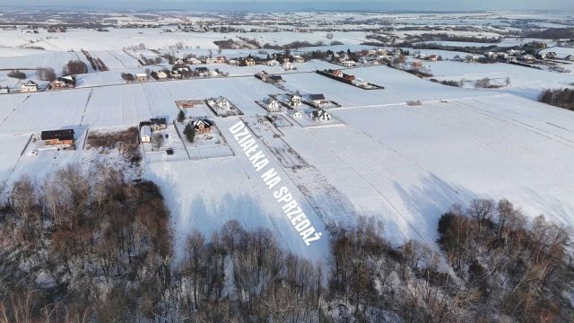 Działka rolno-budowlana Sieciechowice. Zdjęcie 1