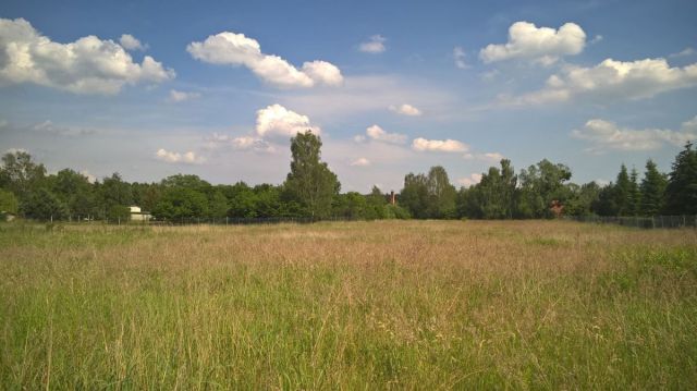 Działka budowlana Jary. Zdjęcie 3