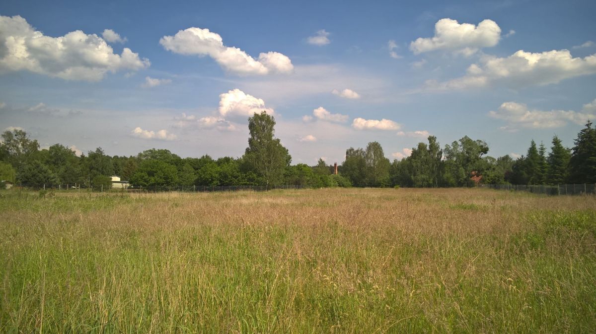 Działka budowlana Jary. Zdjęcie 3