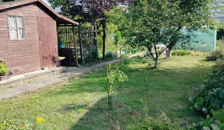 Działka rod Wrocław Klecina, ul. Dożynkowa
