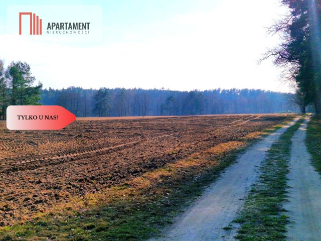 Działka budowlana Wałkowiska. Zdjęcie 16