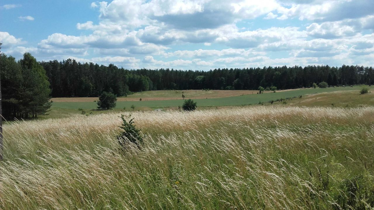 Działka rolno-budowlana Cierzpięty