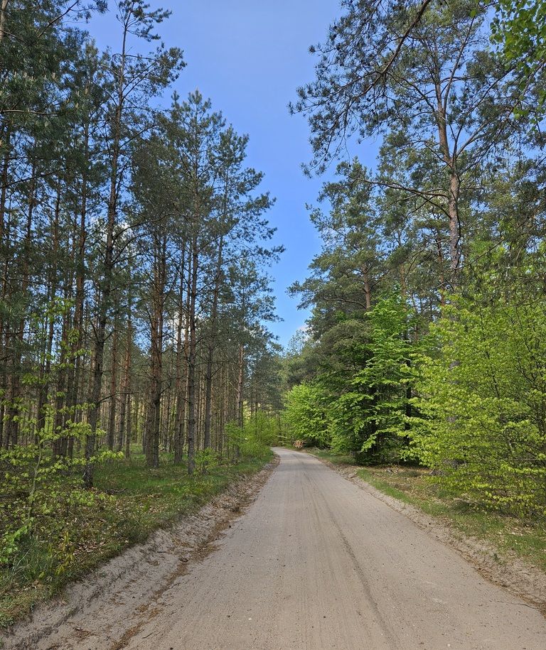 bliźniak, 3 pokoje Borowy Młyn. Zdjęcie 19