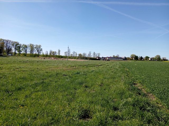 Działka budowlana Dębice. Zdjęcie 1