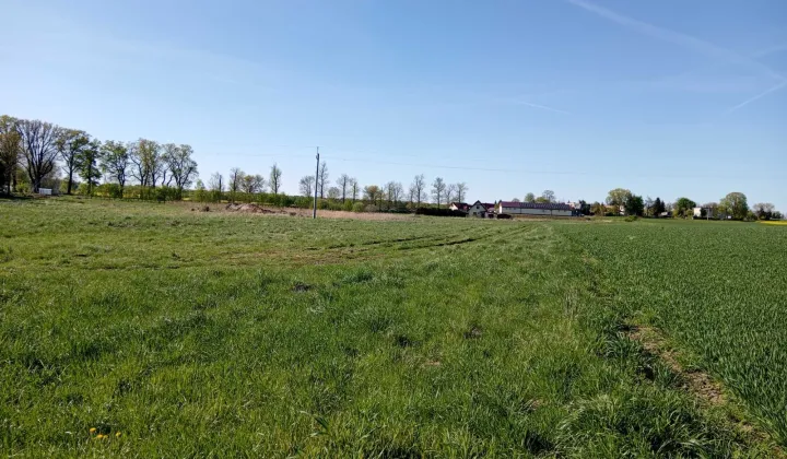 Działka budowlana Dębice