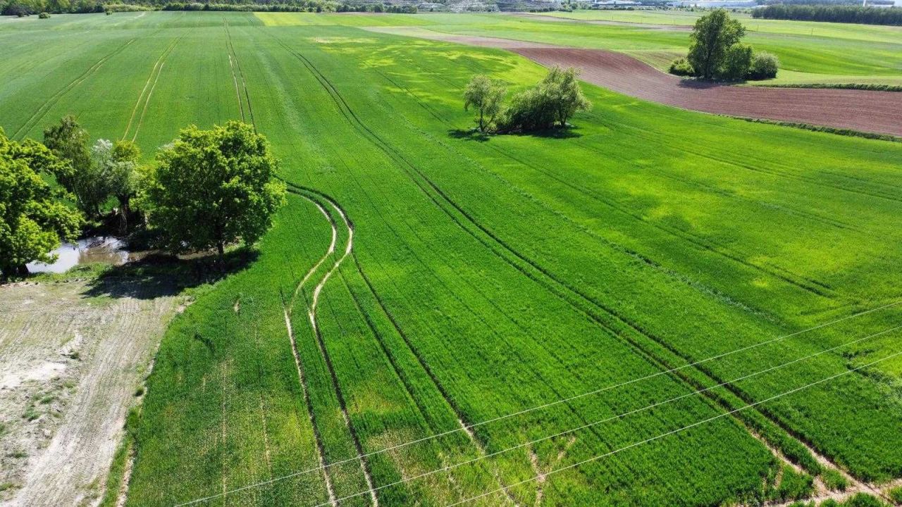 Działka budowlana Machnacz. Zdjęcie 2