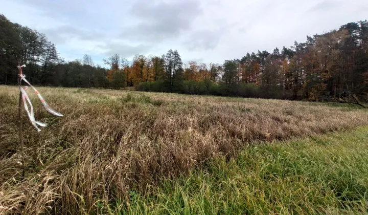 Działka rolna Łęgno