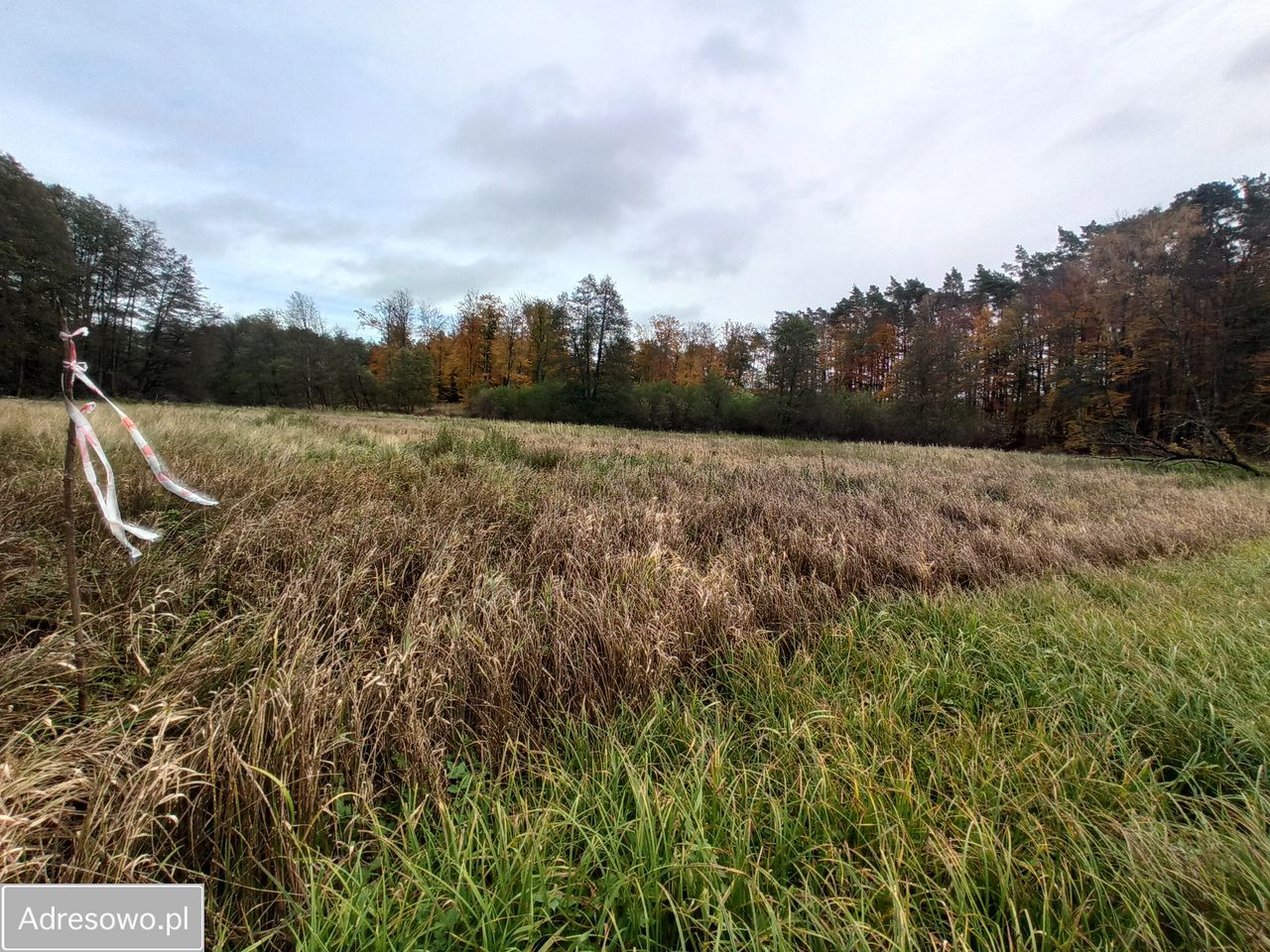 Działka rolna Łęgno