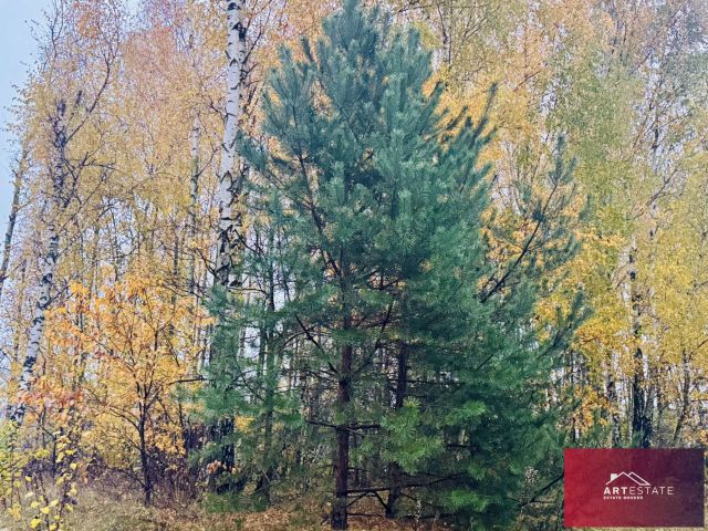 Działka budowlana Słowak. Zdjęcie 13