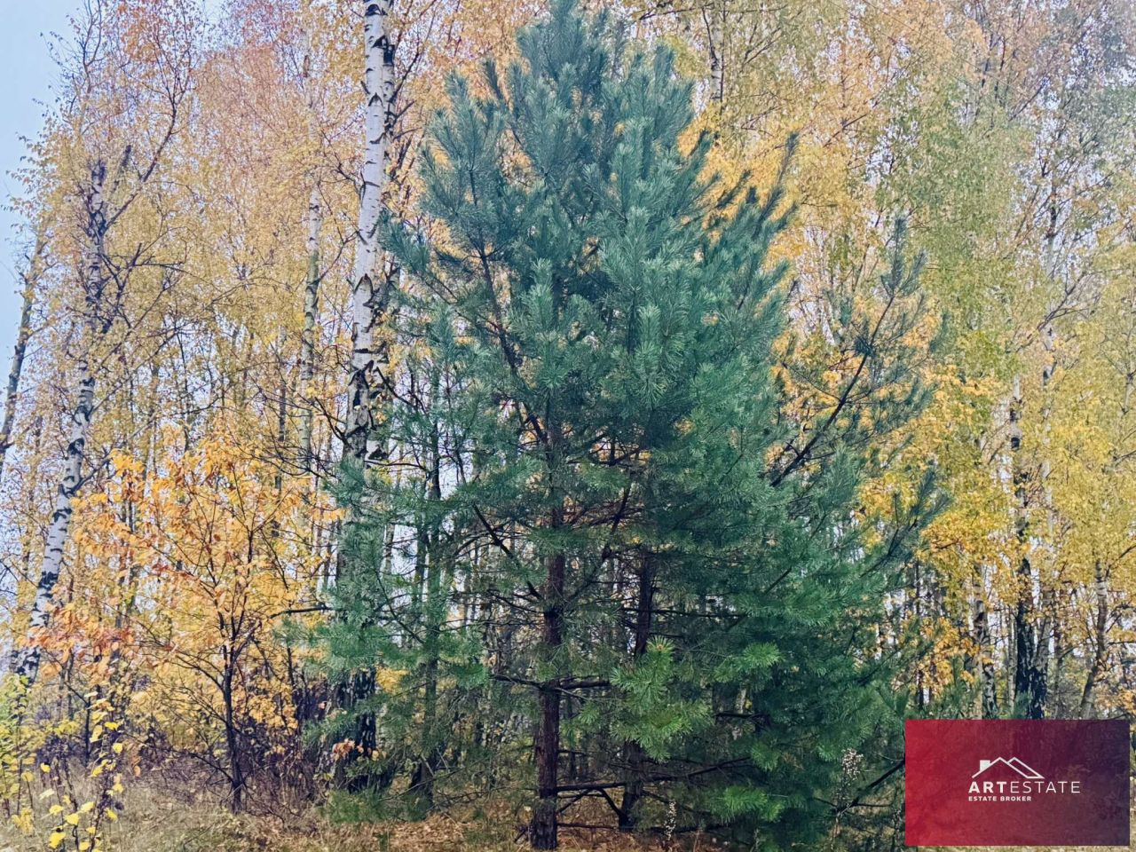 Działka budowlana Słowak. Zdjęcie 13