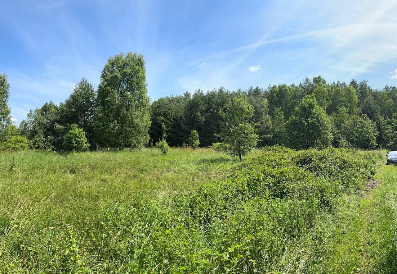 Działka rolna Trzebule. Zdjęcie 4