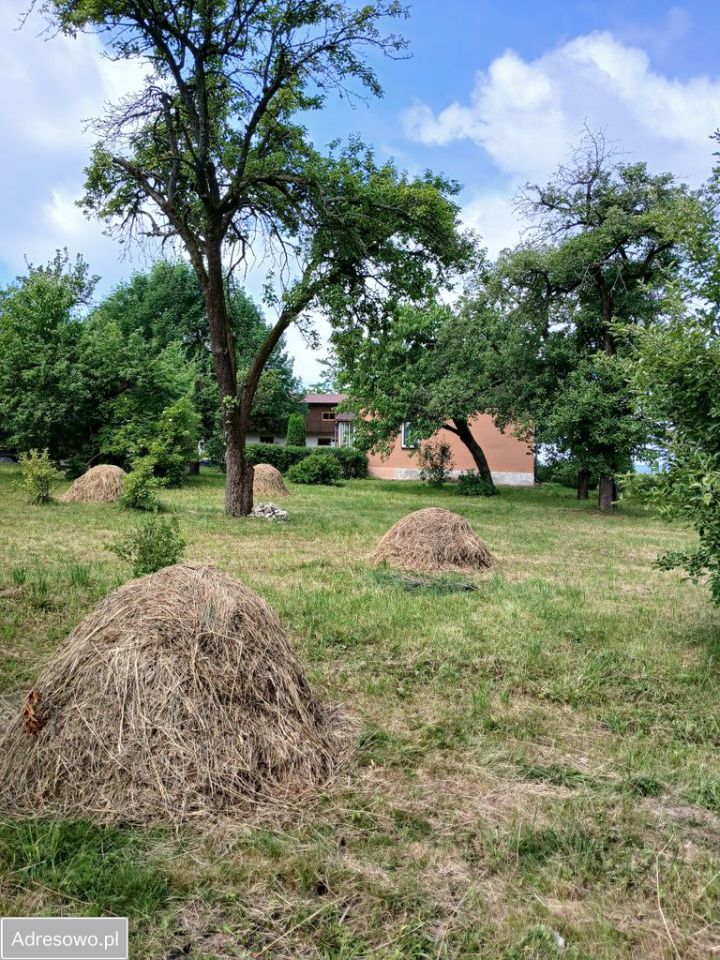 gospodarstwo, 2 pokoje Krężoły. Zdjęcie 12
