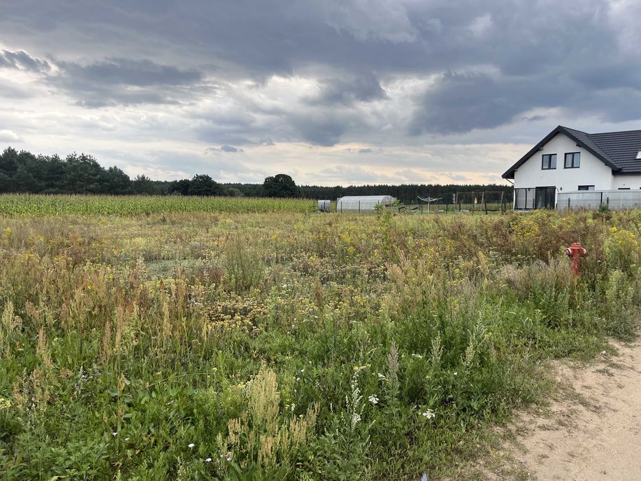 Działka budowlana Lisewo. Zdjęcie 2