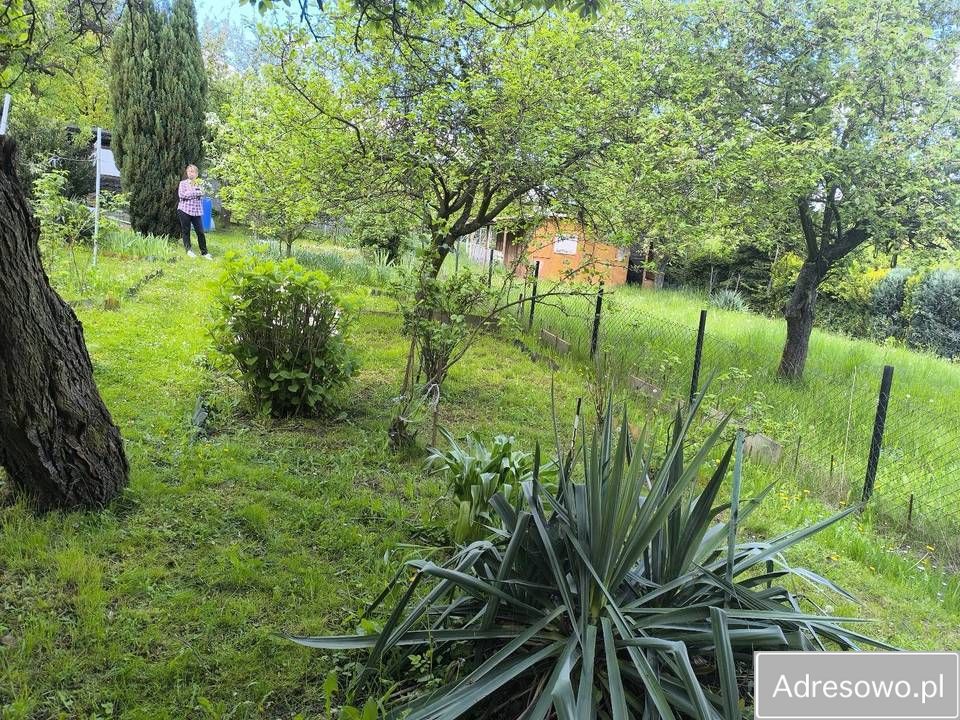 Działka rod Wałbrzych Piaskowa Góra. Zdjęcie 2