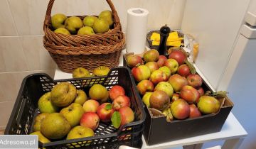 Działka budowlana Nowy Prażmów, ul. Leśna