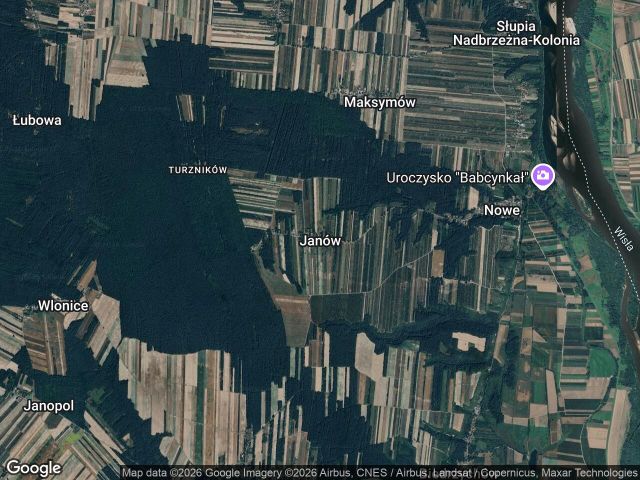 Działka leśna Janów. Zdjęcie 1