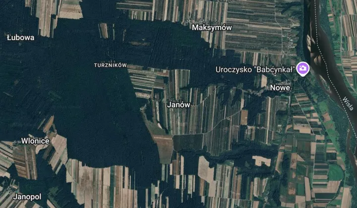 Działka leśna Janów