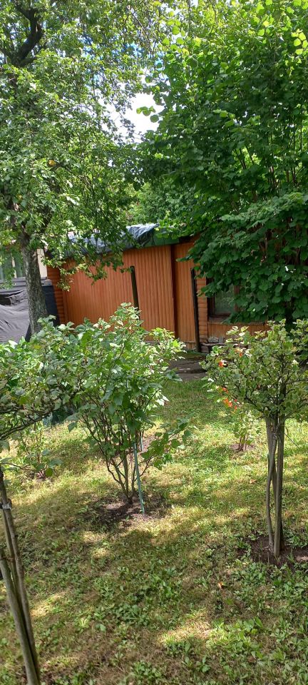 Działka rod Zabrze, ul. Botaniczna. Zdjęcie 2