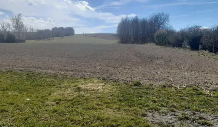 Działka rolno-budowlana Pławnica