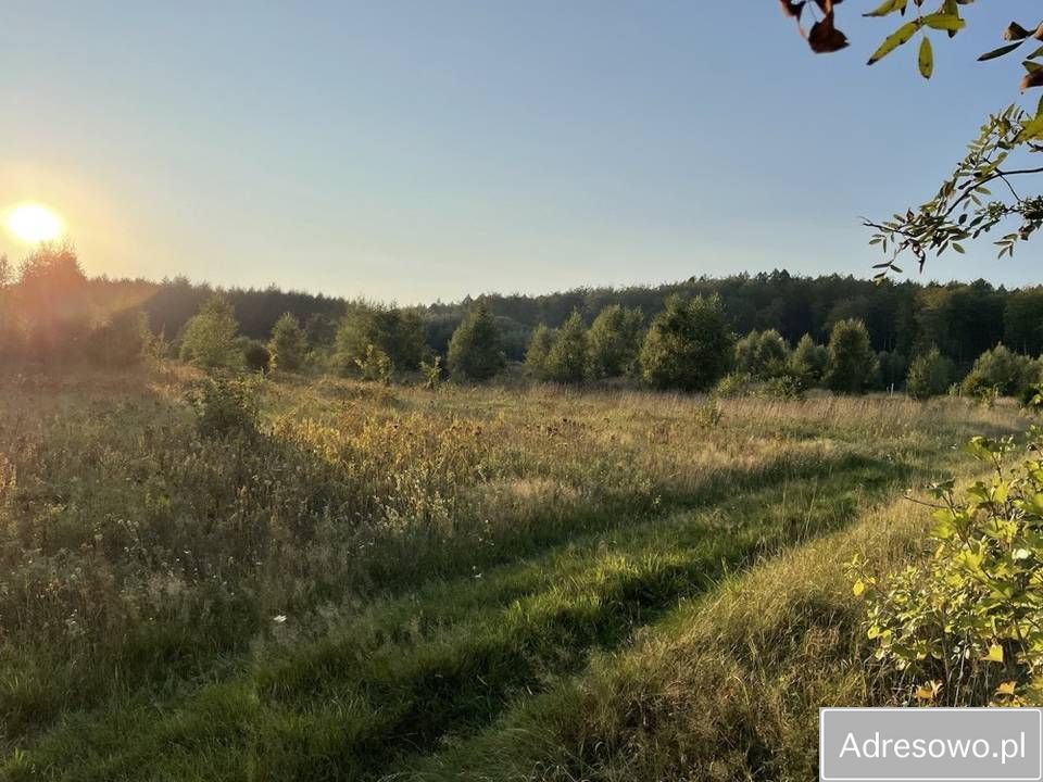 Działka rolna Mechowo. Zdjęcie 5