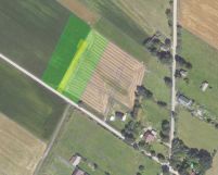 Działka rolno-budowlana Ruda. Zdjęcie 1