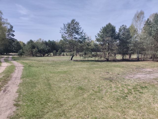 Działka budowlana Jastrząb. Zdjęcie 1