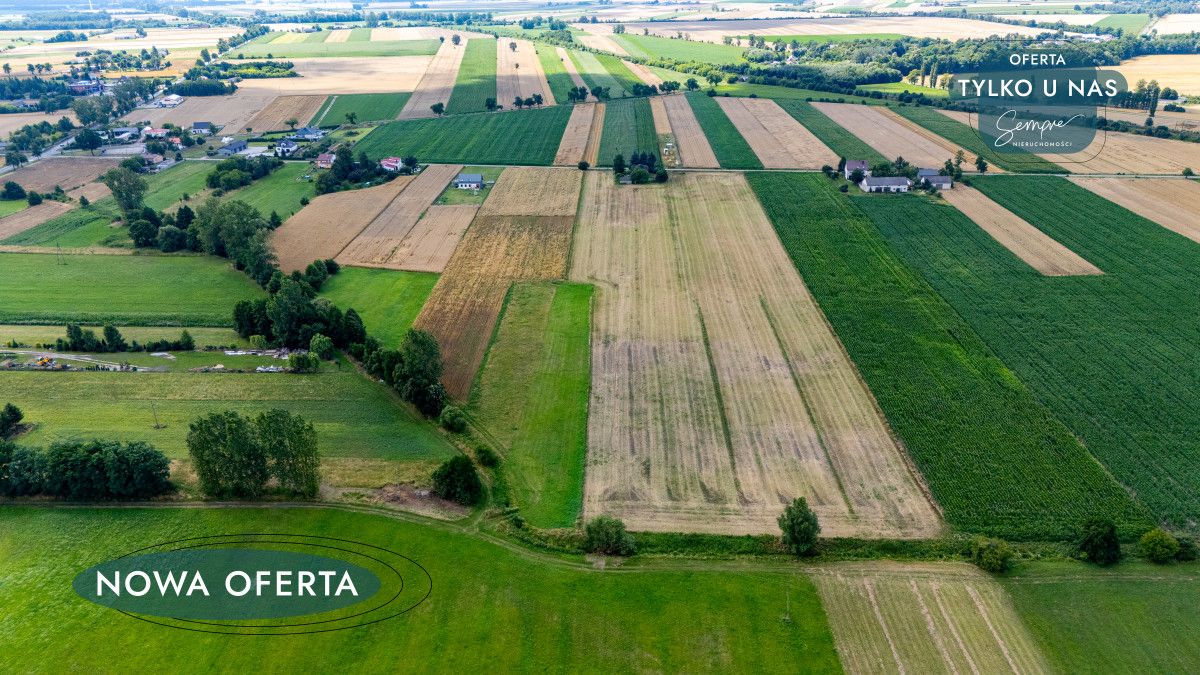 Działka rolna Zygry. Zdjęcie 5