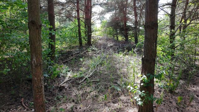 Działka budowlana Kady. Zdjęcie 14