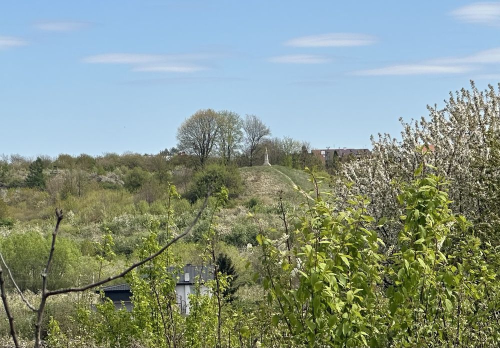 Działka rolno-budowlana Kobierniki. Zdjęcie 5