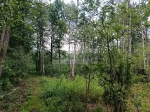 Działka budowlana Warszawa Białołęka. Zdjęcie 4