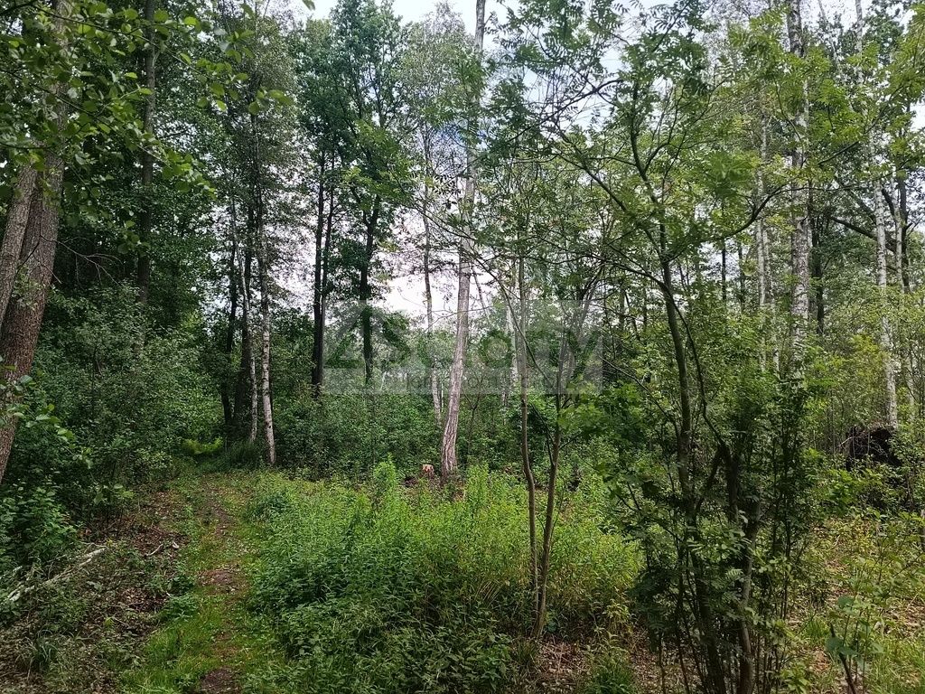 Działka budowlana Warszawa Białołęka. Zdjęcie 6