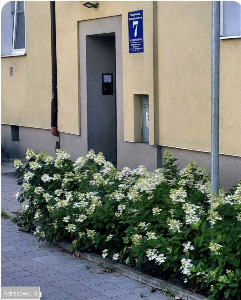 Mieszkanie 3-pokojowe Gdynia Kamienna Góra, ul. Augustyna Necla. Zdjęcie 10