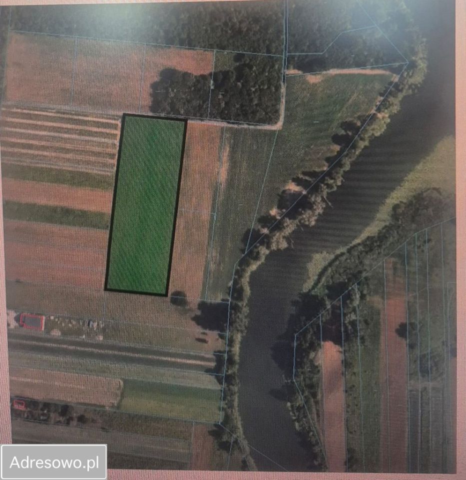 Działka rolna Kępa Nadbrzeska. Zdjęcie 7