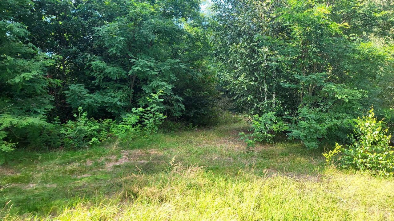 Działka Michałów. Zdjęcie 8