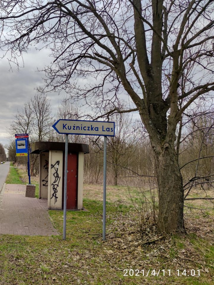 Działka leśna Dąbrowa Górnicza Nowa Kuźniczka, ul. Kuźniczka Nowa. Zdjęcie 10