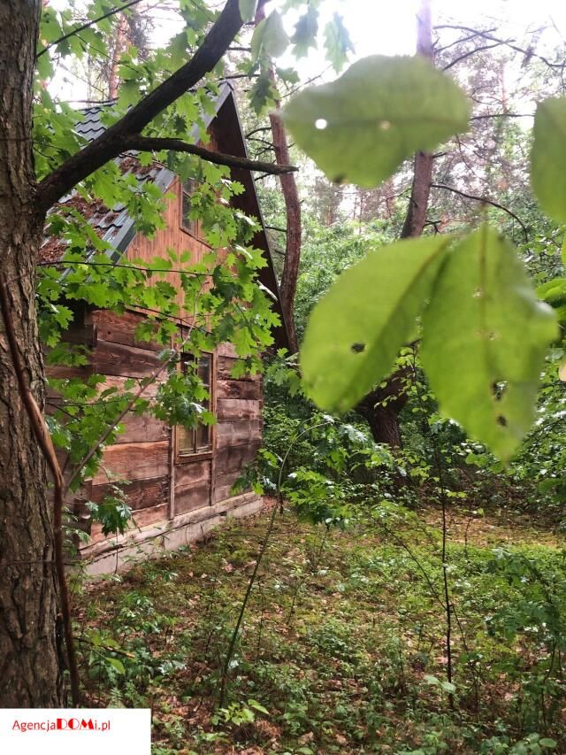 siedlisko, 2 pokoje Siestrzeń