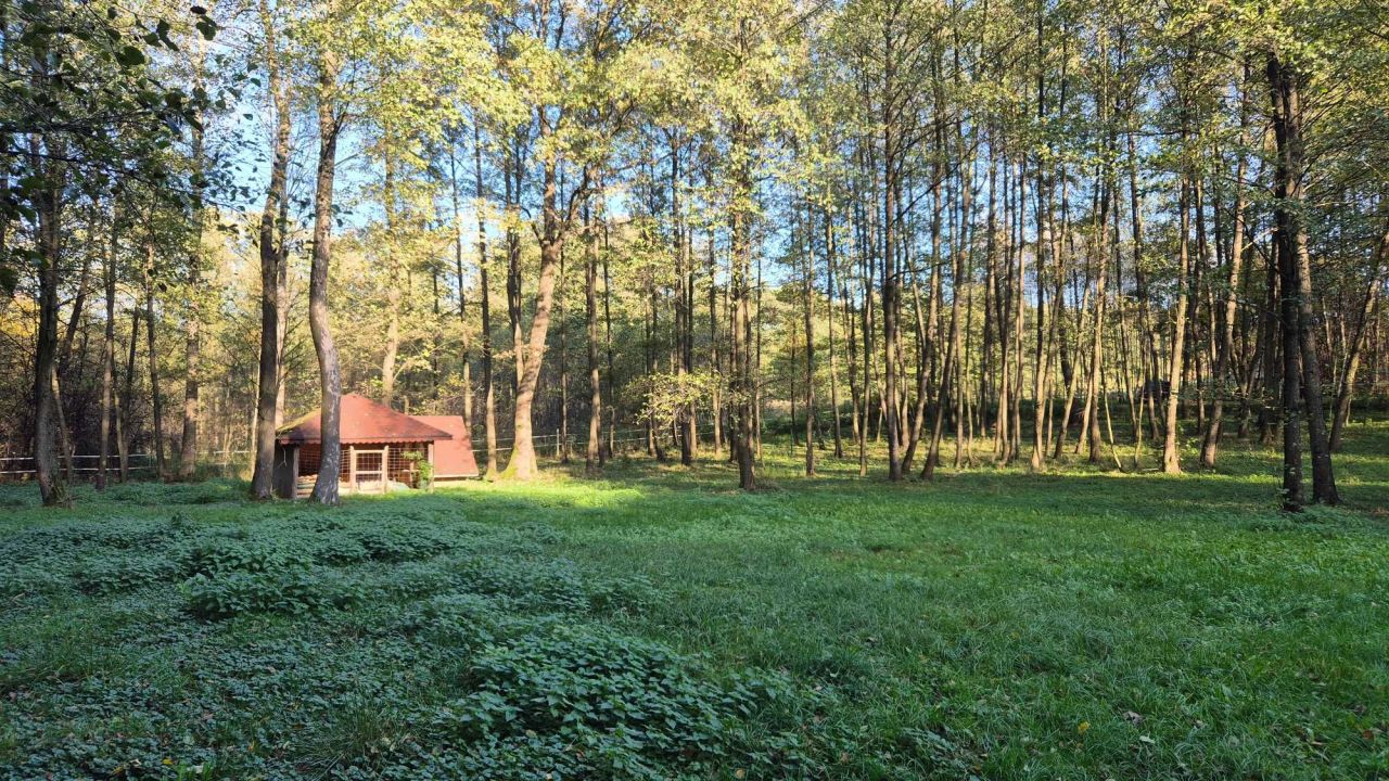 Działka budowlana Strażów. Zdjęcie 6