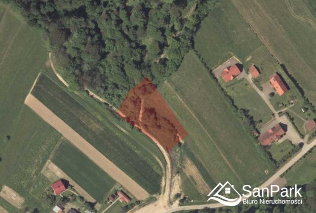 Działka rolna Orelec. Zdjęcie 7