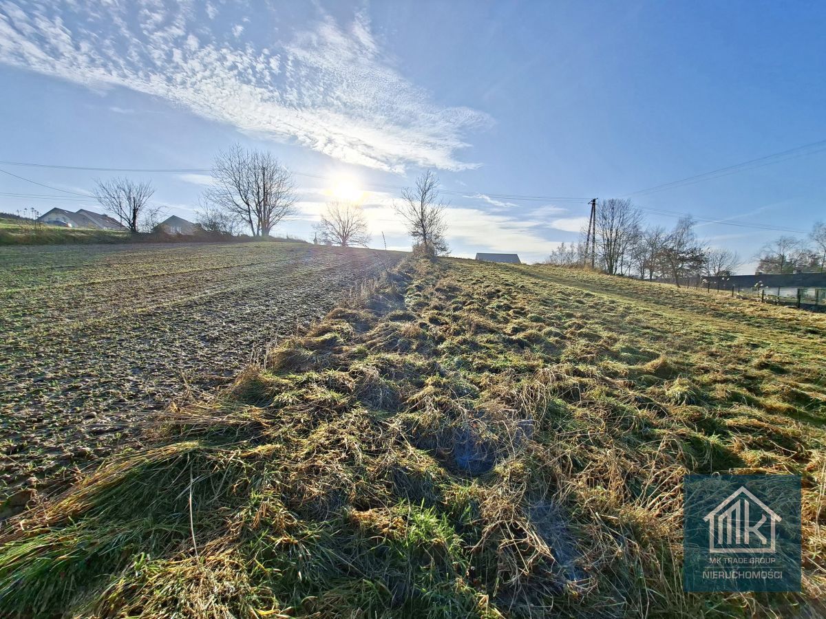 Działka budowlana Szarów. Zdjęcie 2