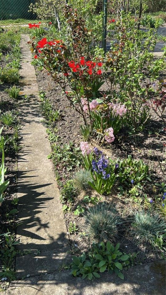 Działka rod Wrocław Stare Miasto. Zdjęcie 4